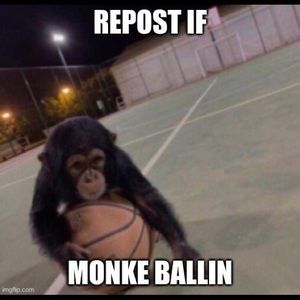 Meet your Posher, Princess